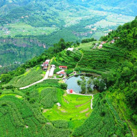 आइतबारदेखि त्रियोग चेस