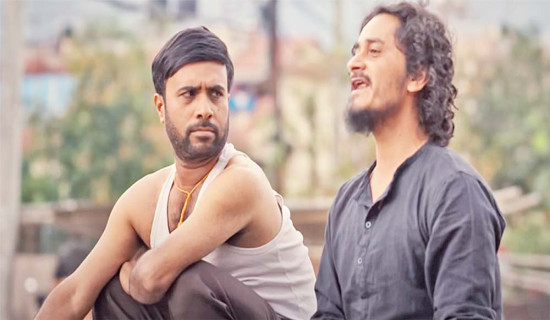 सय रोपनीमा एकै दिन रोपाइँ (फोटो फिचर)