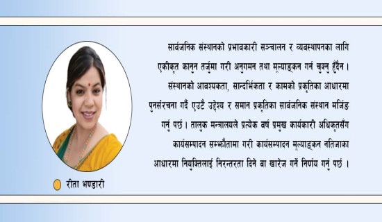 सार्वजनिक संस्थानको भविष्य
