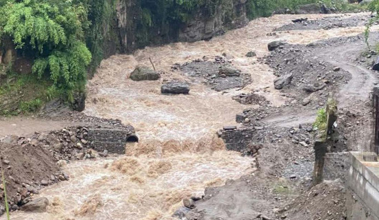मतदाता नामावली सच्याउने प्रतिबद्धता