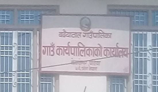 टोल विकास नेतृत्वका लागि निर्वाचन
