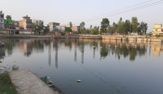 पोखरी सौन्दर्यीकरण अभियान निष्प्रभावी