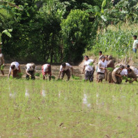 स्थानीय तहद्वारा खर्च सार्वजनिक