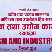 पार्किङ गरेको गाडीले च्यापेर एक जनाको मृत्यु