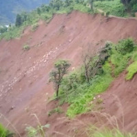 ज्येष्ठ नागरिकलाई निःशुल्क एम्बुलेन्स सेवा
