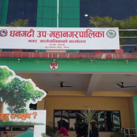 पानी परेपछि कृषकलाई रोपाइँ गर्न सहज