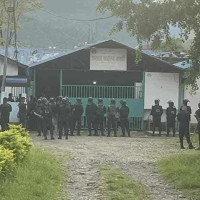 महिला फुटबल प्रशिक्षक वाइल्डको राजीनामा