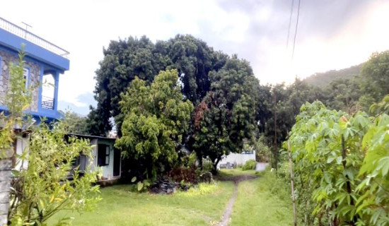 लिचीघारी जग्गा विवाद, स्थानीय बासिन्दा त्रसित