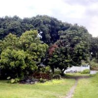 प्रदेश सभा भवन निर्माण