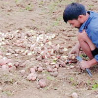 ‘नागरिकता फेरियो, पुनर्जन्म भयो’