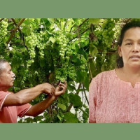 चोरखोला नजिक पहिरोको कारण राजमार्गमा जाम