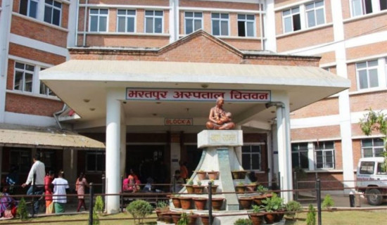 भरतपुर अस्पतालमा दैनिक १० देखि १२ सर्पदंशका बिरामी उपचार गर्न आउने