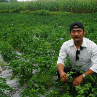दुध किसानको भुक्तानी असार मसान्तमा हुने