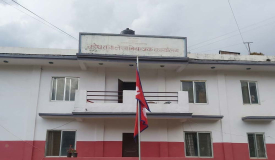अटो दुर्घटनामा दुईजनाको मृत्यु, पाँच घाइते