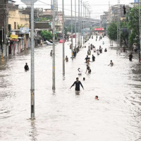 प्रधानमन्त्रीको उपस्थितिमा असार १५ गते चितवनमा रोपाइँ महोत्सव