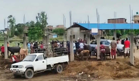 ठेक्काको विषयमा झडप, वडा अध्यक्षसहित चार घाइते