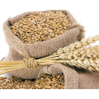 सार्वजनिक निकायबाट सूचना लिन गाह्रो : प्रमुख आयुक्त गुरुङ