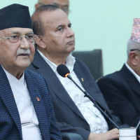 एकै वर्षमा २९ जनाले त्यागे नेपाली नागरिकता