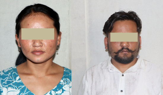 कराते खेलाडी अकबरे खुर्सानीखेतीमा व्यस्त