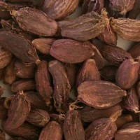 वर्षा भएपछि किसानलाई राहत