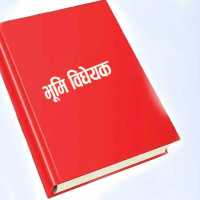 पेशागत महासङ्घ २८ औँ वर्षमा प्रवेश