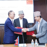 योजना अलपत्र बनाउने आठ कम्पनी कालोसूचीमा
