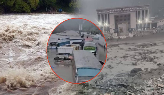 त्रिसट्ठी वटाको उनन्तिस करोड रुपियाँ बिमा दाबी