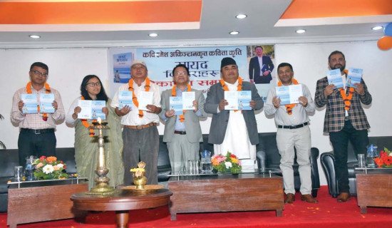 ‘सायद किनाराहरू’ सार्वजनिक