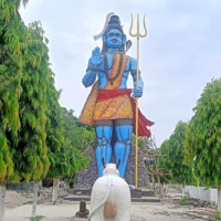 अम्रिसो खेतीबाट आम्दानी गर्दै चुरेफेदको सामुदायिक वन