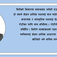 अम्रिसो खेतीबाट आम्दानी गर्दै चुरेफेदको सामुदायिक वन