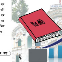 अम्रिसो खेतीबाट आम्दानी गर्दै चुरेफेदको सामुदायिक वन