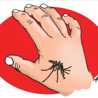 कर्णाली ५५ प्रतिशत मात्र खर्च
