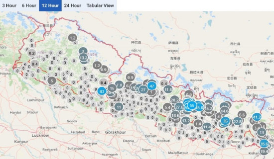 लघुवित्त संस्थाको सङ्ख्या घट्ने क्रम जारी