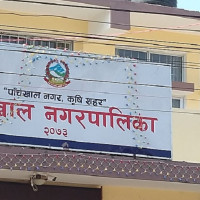धनकुटामा ९९९ केजी गाँजा र लागु औषध नष्ट