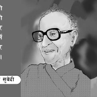 गौतम बुद्ध विमानस्थल र पर्यावरण
