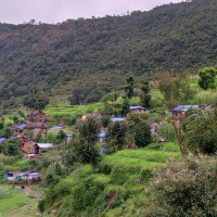 ठमेलबाट दुई किलो सुन र नगदसहित दुई चिनियाँ नागरिक पक्राउ