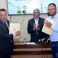 गाजामा भएको इजरायली आक्रमणमा १५ जनाको मृत्यु