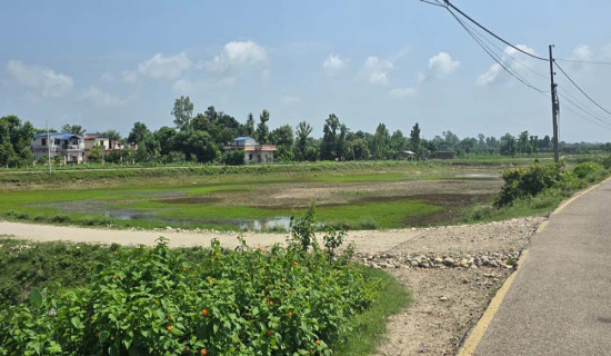 शिक्षा सुधार कार्ययोजना