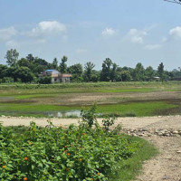 क्षयरोगका १७४ नयाँ बिरामी भेटिए