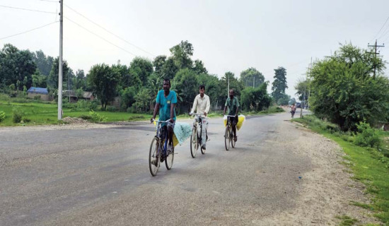 मलमा ठगिँदै नेपाली किसान
