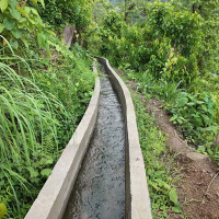 हरिनास गाउँपालिकाको अध्यक्षमा एमालेका मानन्धर विजयी