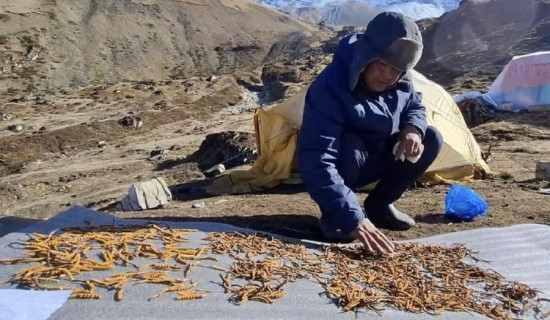 हरिनास गाउँपालिकाको अध्यक्षमा एमालेका मानन्धर विजयी