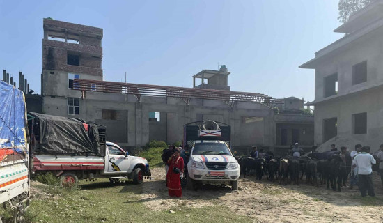 ठेक्का विवादपछि गौशालाको साप्ताहिक बजारको स्थान सारियो