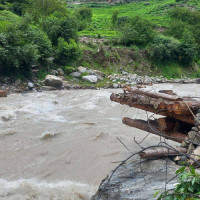 विद्यालय बन्द गरेर शिक्षक विद्यार्थी यार्सा टिप्न व्यस्त