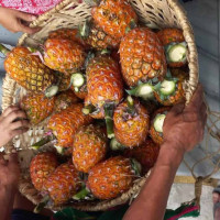 दुधको बजारीकरण तथा गुणस्तरका लागि सुझाव