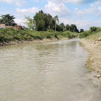 नहरमा पानीको कमीले खेत सिँचाइका लागि आलोपालो व्यवस्था