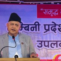 वन उपभोक्ता समूहका अध्यक्षसहित तीनविरुद्ध मुद्दा