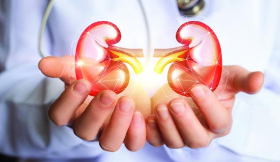 नर्स बेलायत लैजाने प्रस्ताव मन्त्रिपरिषद्‍मा