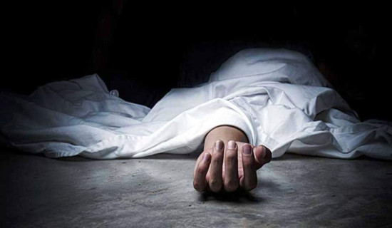 नाइजेरियामा सेनाको कारबाहीमा ९५ डाकुको मृत्यु