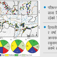 कालीकोटमा दृष्टिविहीन बालिका बलात्कृत